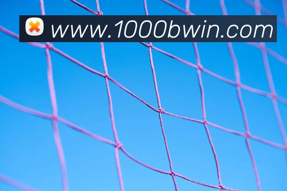 bwin必赢亚洲官网平台APP 封面图